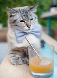 三笘薰的绿茵舞步,全程高能输出,导演加纳与墨西哥的攻防交响